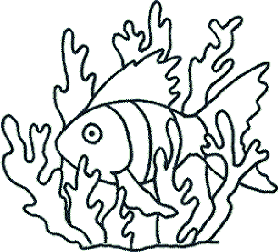 Coloriage 45 Poissons
