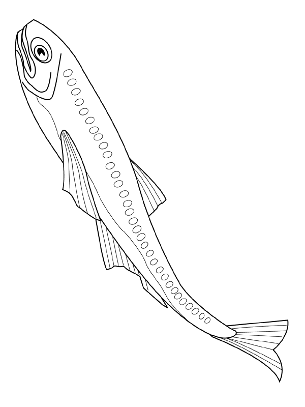 Coloriage 46 Poissons