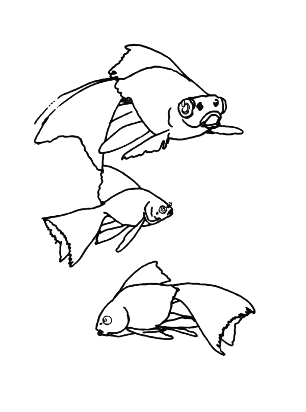 Coloriage 68 Poissons