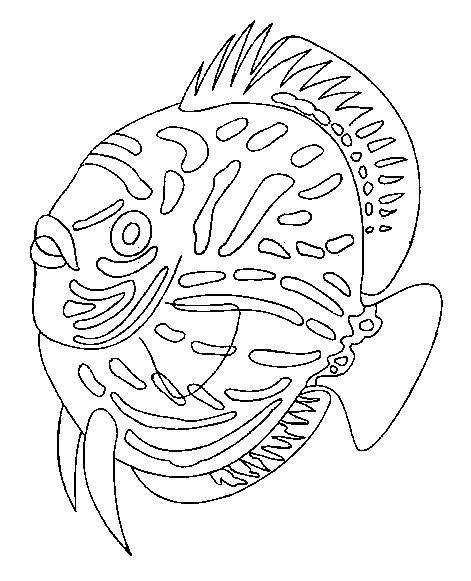 Coloriage 7 Poissons