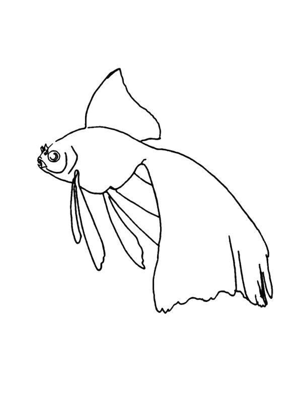 Coloriage 70 Poissons