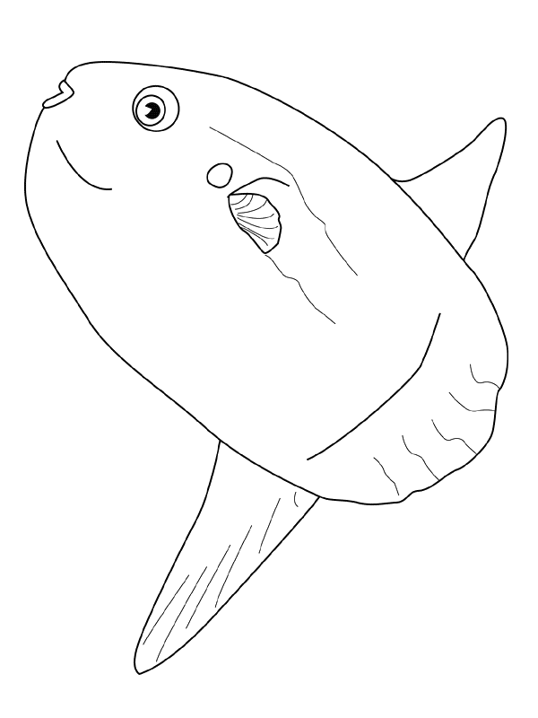 Coloriage 78 Poissons