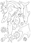 Coloriage Poissons 107