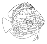 Coloriage Poissons 17