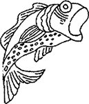 Coloriage Poissons 24