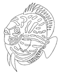 Coloriage Poissons 7