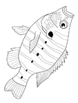 Coloriage Poissons 95