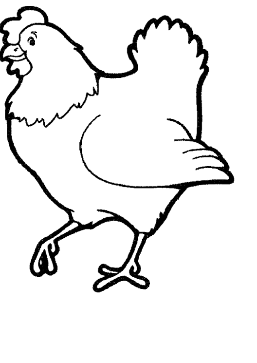 Coloriage 16 Poules