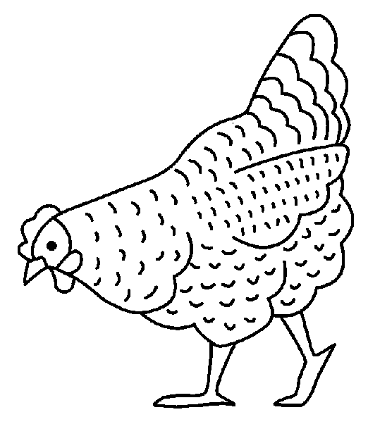 Coloriage 2 Poules