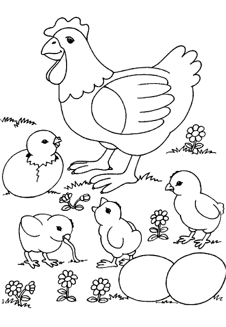 Coloriage 23 Poules