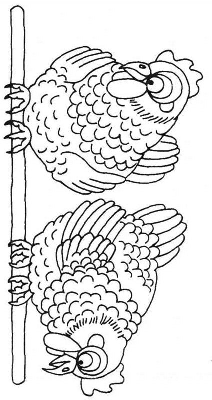 Coloriage 6 Poules