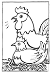 Coloriage Poules 19