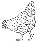 Coloriage Poules 2