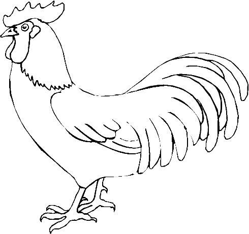 Coloriage 4 Poulets