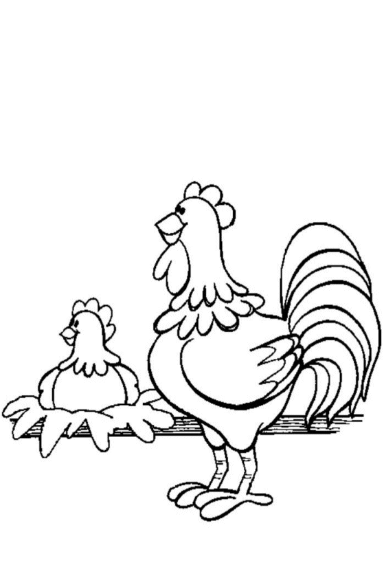 Coloriage 7 Poulets