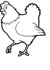 Coloriage Poulets 8