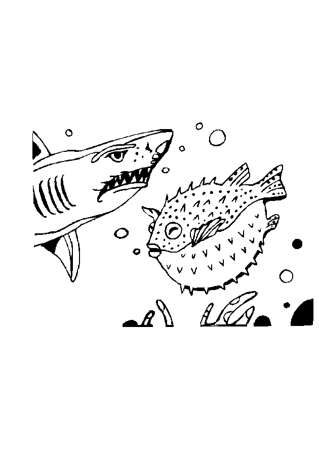 Coloriage 10 Requins