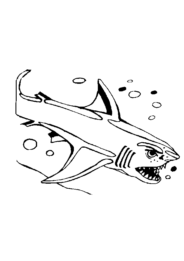 Coloriage 20 Requins