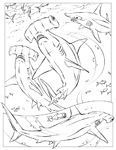 Coloriage Requins 11