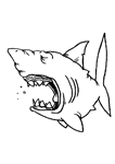 Coloriage Requins 22