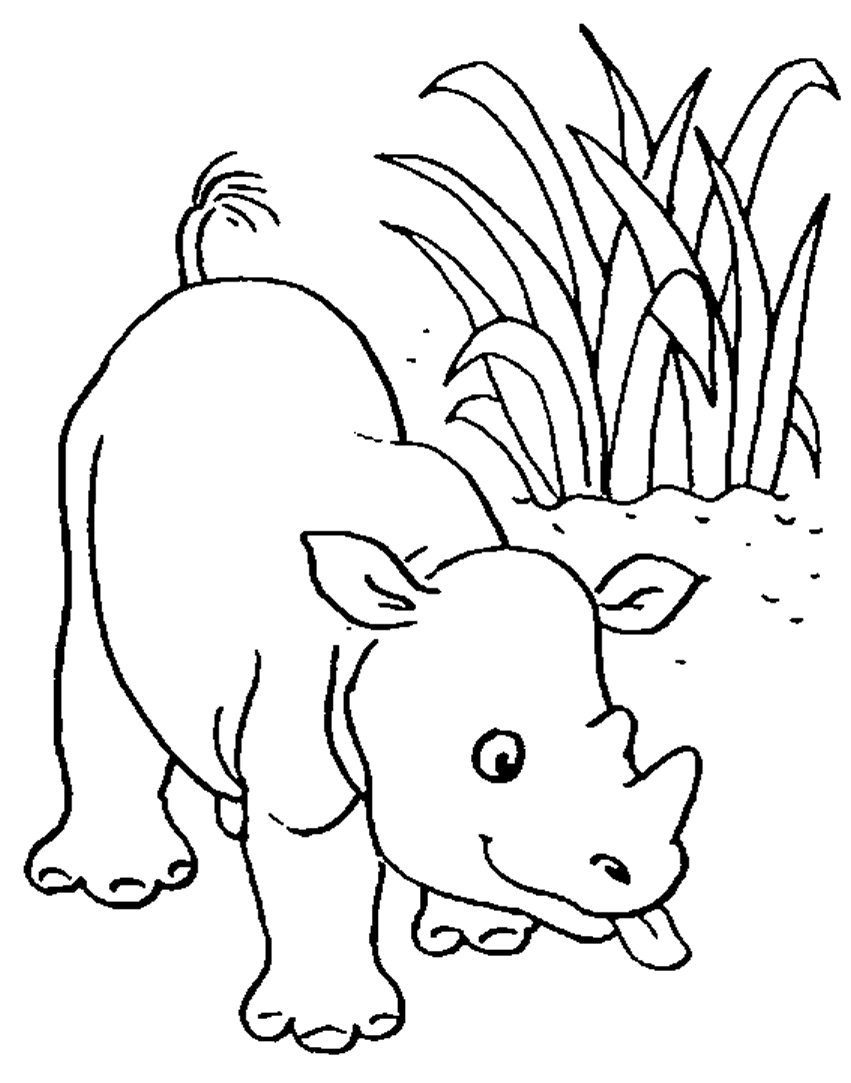 Coloriage 16 Rhinos