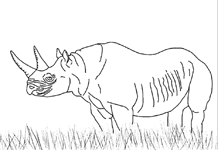 Coloriage Rhinos 10