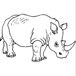 Coloriage Rhinos 7