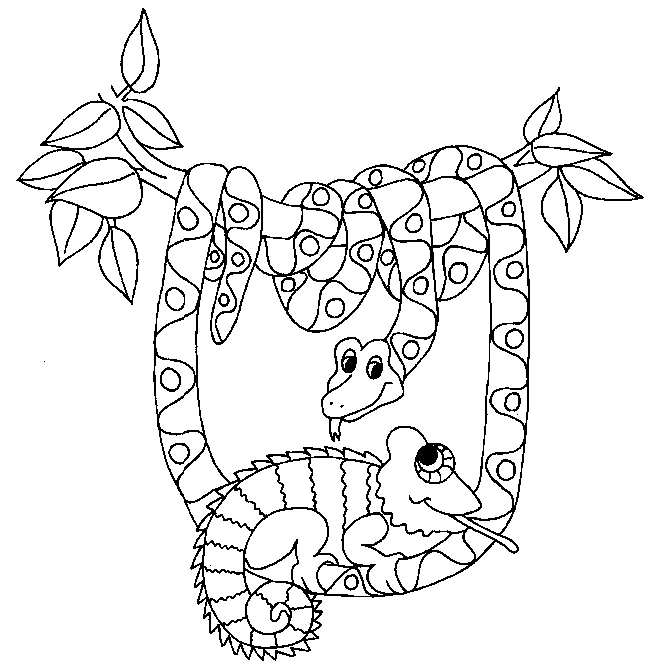 Coloriage 1 Serpents