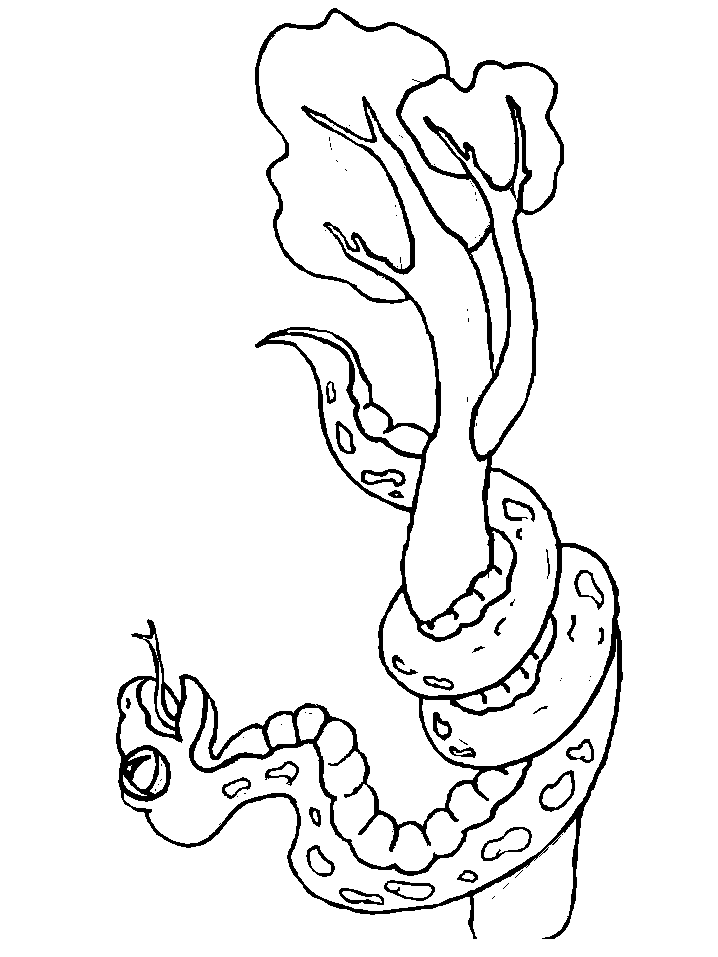 Coloriage 29 Serpents