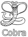 Coloriage Serpents 21