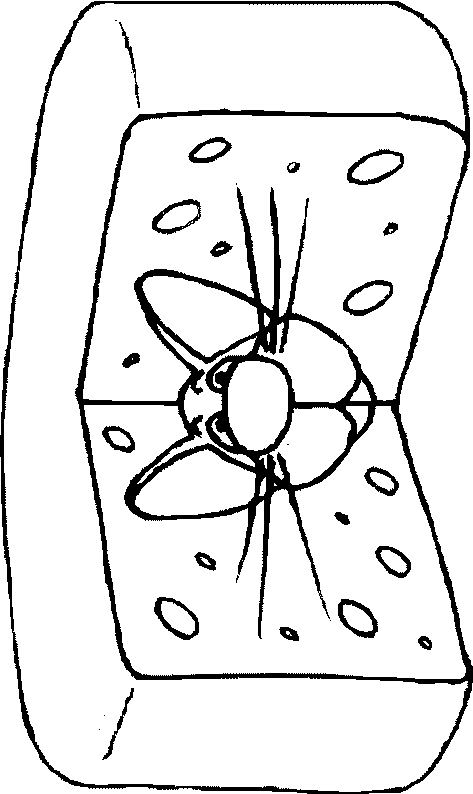 Coloriage 17 Souris