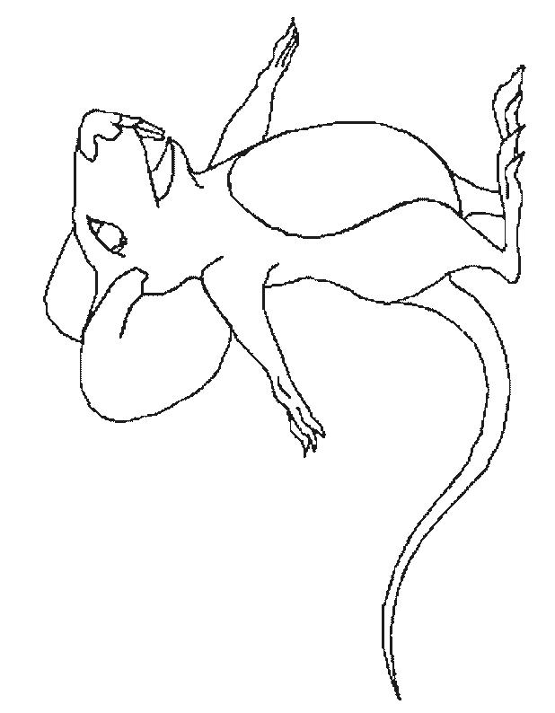 Coloriage 29 Souris