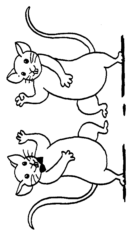 Coloriage 43 Souris