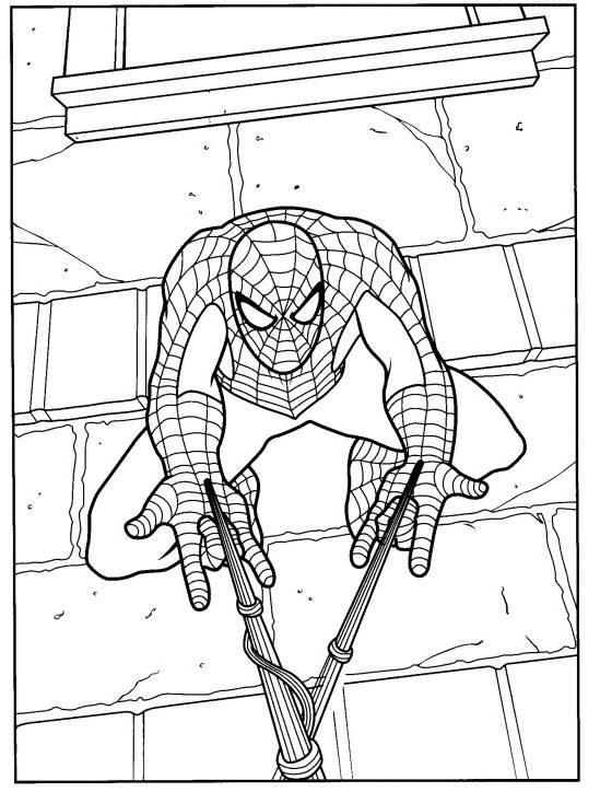 Coloriage 41 Spiderman