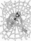 Coloriage Spiderman 2