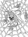 Coloriage Spiderman 29