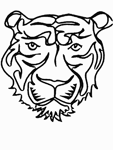 Coloriage Tigres 22