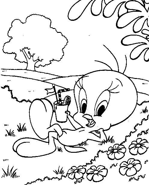 Coloriage 2 Titi