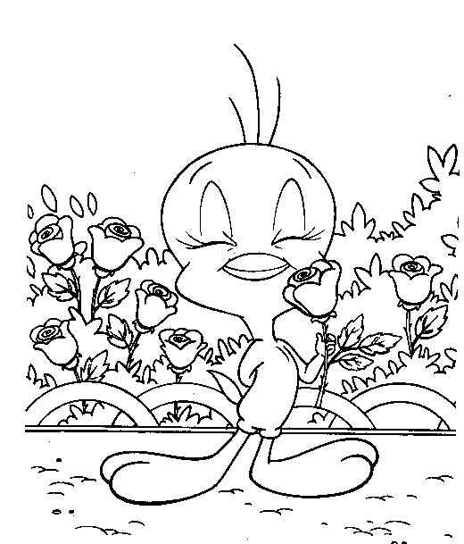 Coloriage 23 Titi