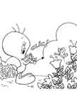 Coloriage Titi 14