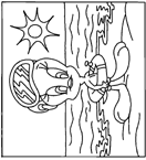 Coloriage Titi 37