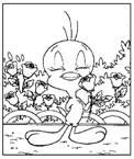 Coloriage Titi 38