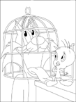 Coloriage Titi 51