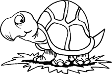 Coloriage Tortues 2