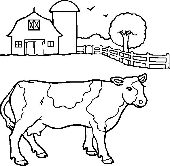 Coloriage 11 Vaches