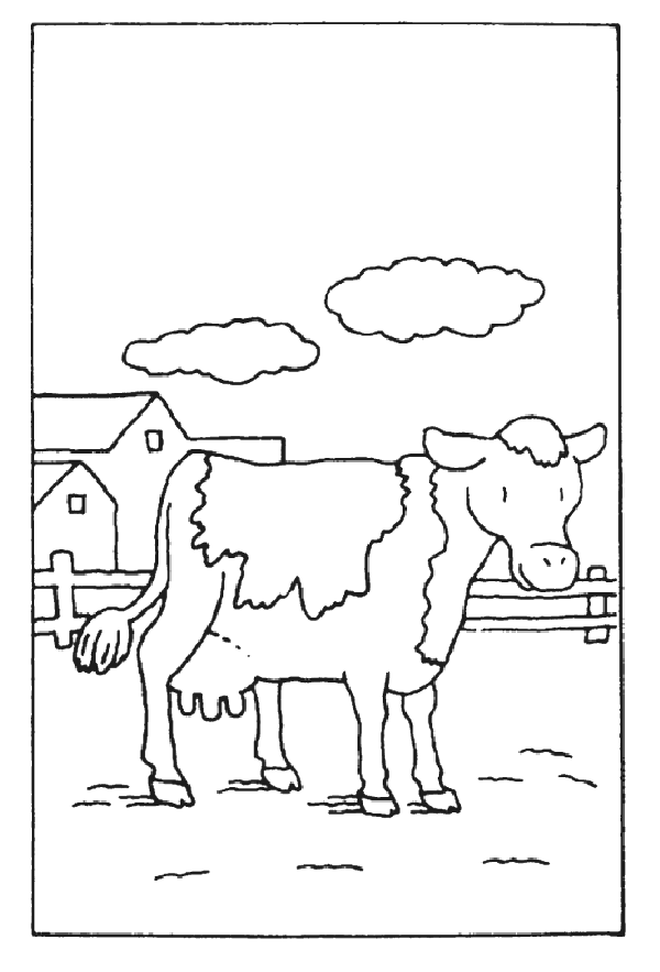 Coloriage 29 Vaches