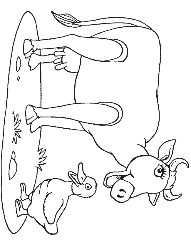 Coloriage 33 Vaches