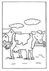 Coloriage Vaches 15