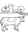Coloriage Vaches 19