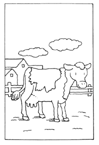 Coloriage Vaches 29